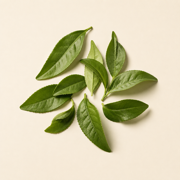 l-theanine